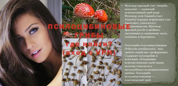 СК Бугульма