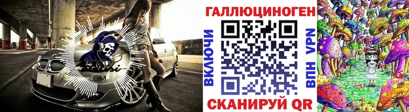 Псилоцибиновые грибы Psilocybe  ОМГ ОМГ   Петропавловск-Камчатский 